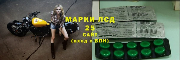 прущие грибы Абдулино
