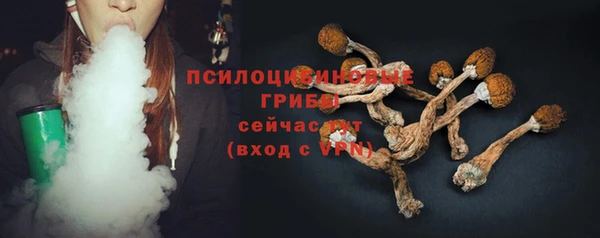 ГАЛЛЮЦИНОГЕННЫЕ ГРИБЫ Абинск