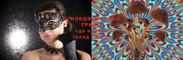 прущие грибы Абдулино