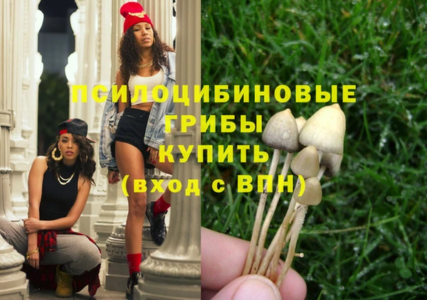 ГАЛЛЮЦИНОГЕННЫЕ ГРИБЫ Абинск