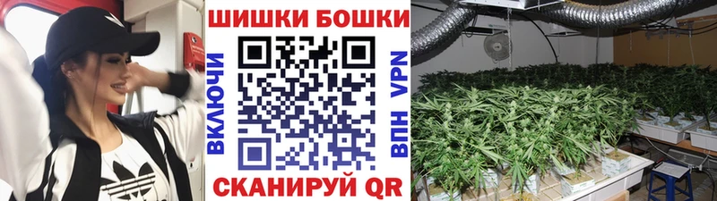Шишки марихуана Amnesia Донецк